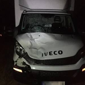 В Запорожской области водитель грузовика насмерть сбил мужчину: его личность пока не установлена