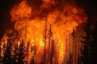 Лесные пожары вплотную приблизились пограничному пункту в Сарове Нижегородской области