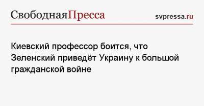 Киевский профессор боится, что Зеленский приведёт Украину к большой гражданской войне
