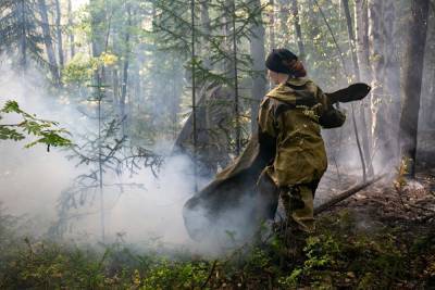 Свердловская область оказалась на первом месте в России по числу природных пожаров