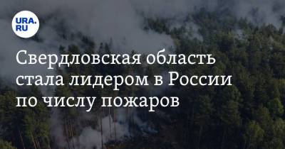 Свердловская область стала лидером в России по числу пожаров