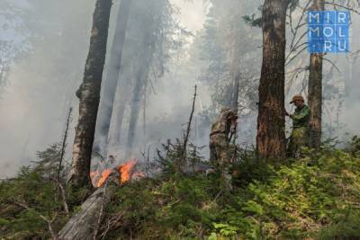 Дагестан получит дополнительные средства на борьбу с лесными пожарами