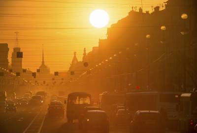 Тёплая погода порадует петербуржцев в конце месяца