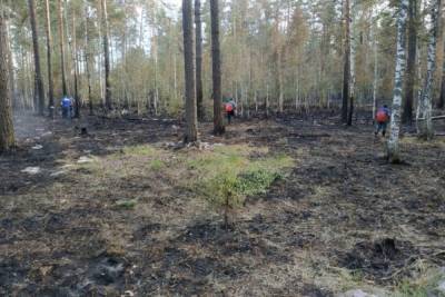 Авиация продолжит тушение лесного пожара в Марий Эл