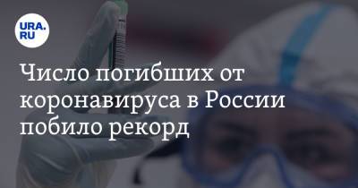 Число погибших от коронавируса в России побило рекорд