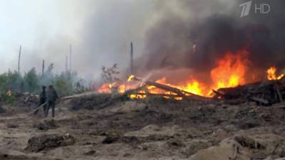 Дополнительные силы для борьбы с крупным природным пожаром стянуты в Мордовский заповедник