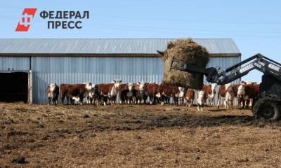 Красноярские агрокооперативы получили до 20 млн рублей господдержки