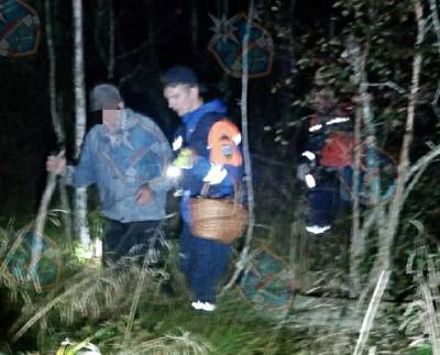 Спасатели нашли и вывели из леса около деревни Лаврово заблудившегося мужчину