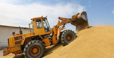 Вице-премьер Александр Субботин прокомментировал запрет на экспорт зерна из Беларуси