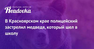 В Красноярском крае полицейский застрелил медведя, который шел в школу