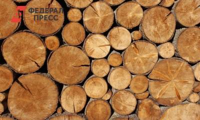 Красноярские лесопромышленники улучшили показатели благодаря нацпроекту