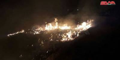 Израиль поджигает леса в Сирии