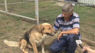 ТЕМА НЕДЕЛИ. Ульяновские волонтеры и общественники об ответственном обращении с животными