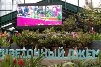 Собянин: Фестиваль «Цветочный джем» пройдёт с 1 сентября по 1 октября