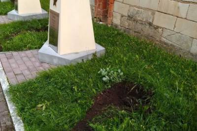 Полицейские поймали вора, укравшего туи из сквера Памяти Героев в Смоленске