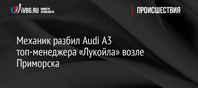 Механик разбил Audi A3 топ-менеджера «Лукойла» возле Приморска