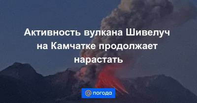 Активность вулкана Шивелуч на Камчатке продолжает нарастать