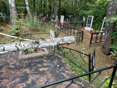 В Рыбновском районе упавшие деревья повредили кладбище