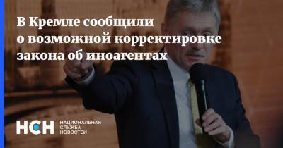 В Кремле сообщили о возможной корректировке закона об иноагентах