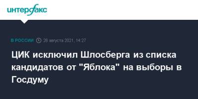 ЦИК исключил Шлосберга из списка кандидатов от "Яблока" на выборы в Госдуму