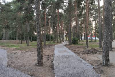 Богатый вековыми соснами «Булонский лес» в Приозерске продолжает улучшаться