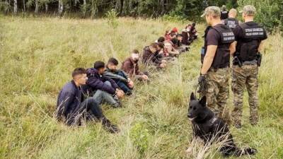 Более 3 тысяч нелегалов выявлено с начала августа на белорусско-польской границе