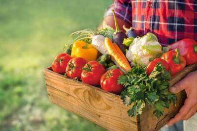 Назван топ-лист полезных сезонных овощей в августе