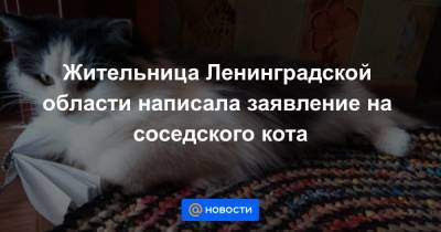 Жительница Ленинградской области написала заявление на соседского кота