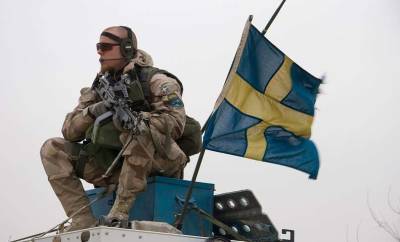 Дандыкин назвал скрытые цели расширения военного присутствия Швеции в Балтийском море