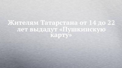 Жителям Татарстана от 14 до 22 лет выдадут «Пушкинскую карту»