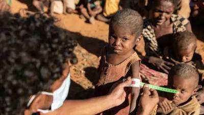 На Мадагаскаре люди голодают и едят насекомых из-за изменений климата