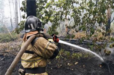 Рязанские пожарные продолжают тушить природный пожар в Нижегородской области