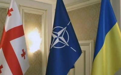 Решение о вступлении Украины и Грузии в НАТО было подтверждено на самом высоком политическом уровне в Альянсе, - замгенсека Джоанэ
