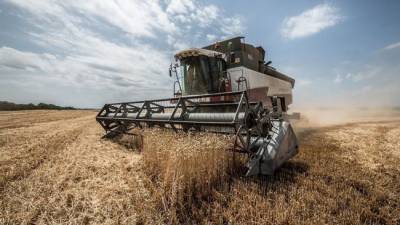 Александр Субботин - Белоруссия ввела запрет на вывоз зерна, но на России это не отразится - eadaily.com - Россия - Белоруссия