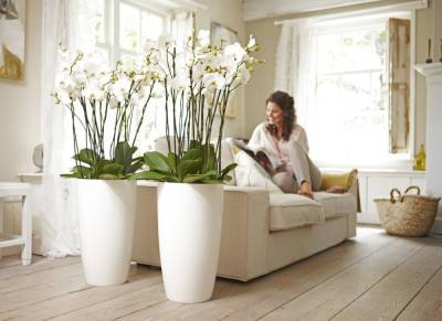 Искусственные цветы в каждой комнате дома: идеи и практичные решения, советы дизайнеров