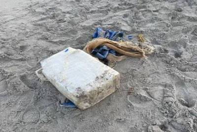 Отдыхающий нашел на пляже пакет с кокаином на миллион долларов - lenta.ru - USA - шт.Флорида - Мадагаскар - Палм-Бич