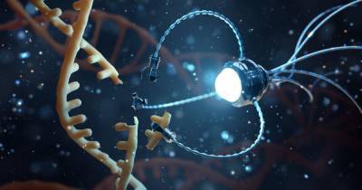 "Вплоть до бессмертия": ученый рассказал, как будут развиваться нанотехнологии в ближайшие 50 лет