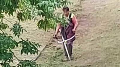 В Киеве коммунальщики стригут землю газонокосилкой