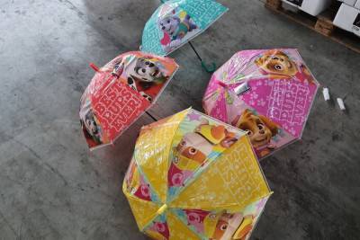 4,5 тысячи контрафактных зонтов обнаружили на границе псковские таможенники