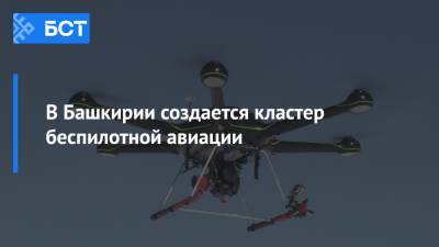 В Башкирии создается кластер беспилотной авиации