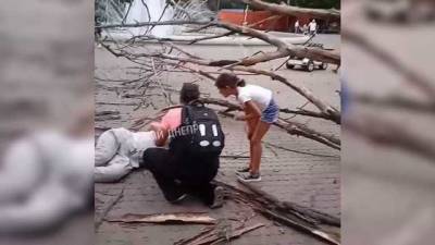 Переломало ноги: дерево упало на мужчину в парке Днепра