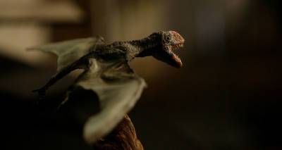 Бразильские ученые отобрали у контрабандистов самый полный скелет птерозавра