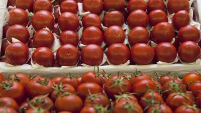 Почему лопаются помидоры при консервации: секрет сохранения томатов при засолке