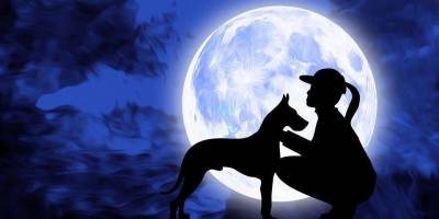 Ваша собака, астрология и гороскопы: о чем расскажут звезды. Окончание