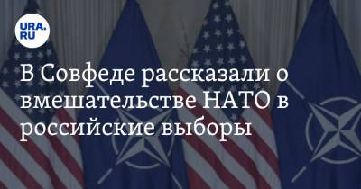 В Совфеде рассказали о вмешательстве НАТО в российские выборы