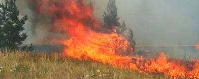 В Новосибирской области до 30 августа сохраняется риск возникновения природных пожаров