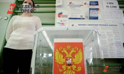 В Совфеде заявили о вмешательстве в российские выборы