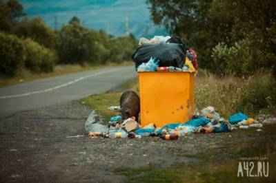 Сергей Цивилёв прокомментировал жалобы кузбассовцев на плохой вывоз мусора