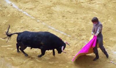 Клички быков оставили испанцев без корриды