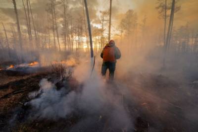 Власти Италии объявили режим ЧС из-за лесных пожаров